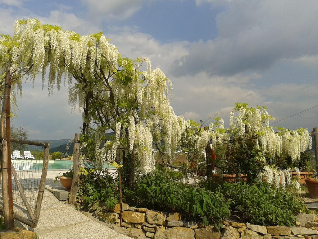 Agriturismo Biologico Poggiopiano Villa Fiesole Kültér fotó