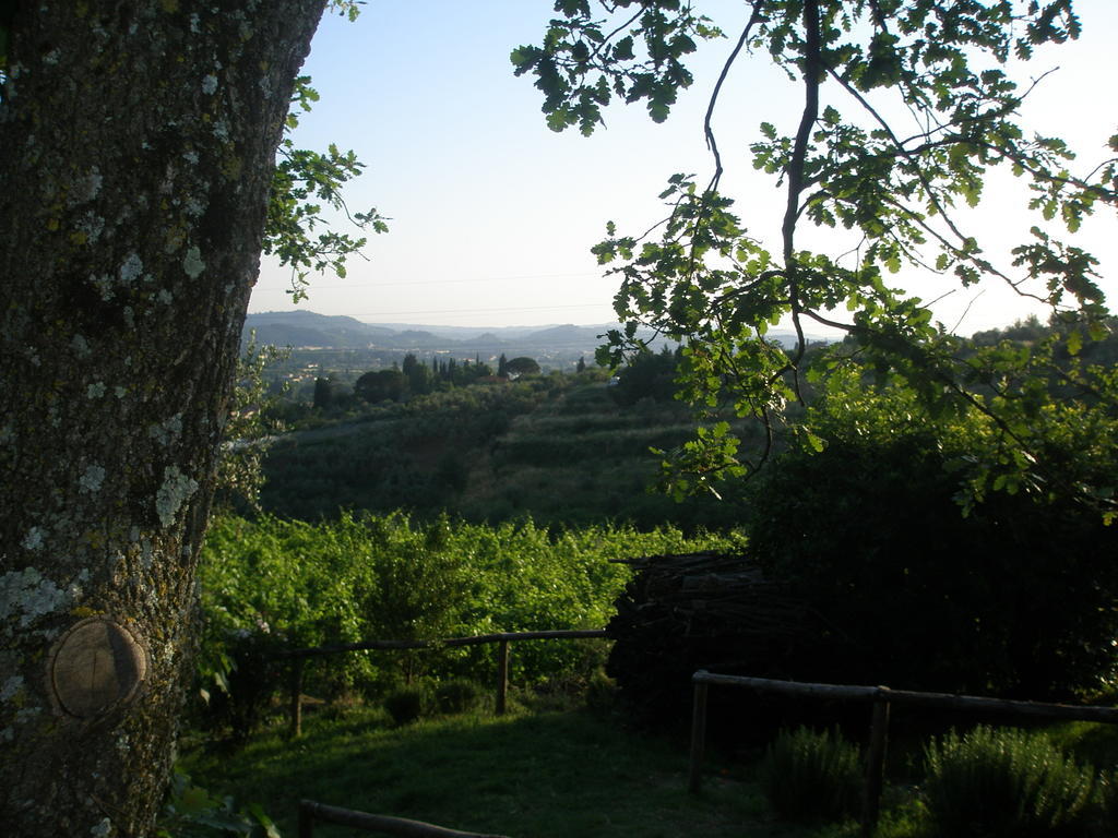 Agriturismo Biologico Poggiopiano Villa Fiesole Kültér fotó